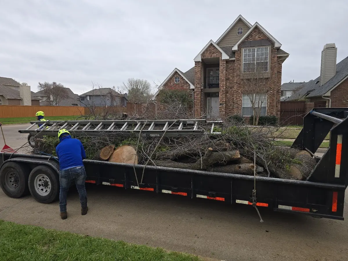 Expert Tree Fertilization with proper safety equipment in Donaldson